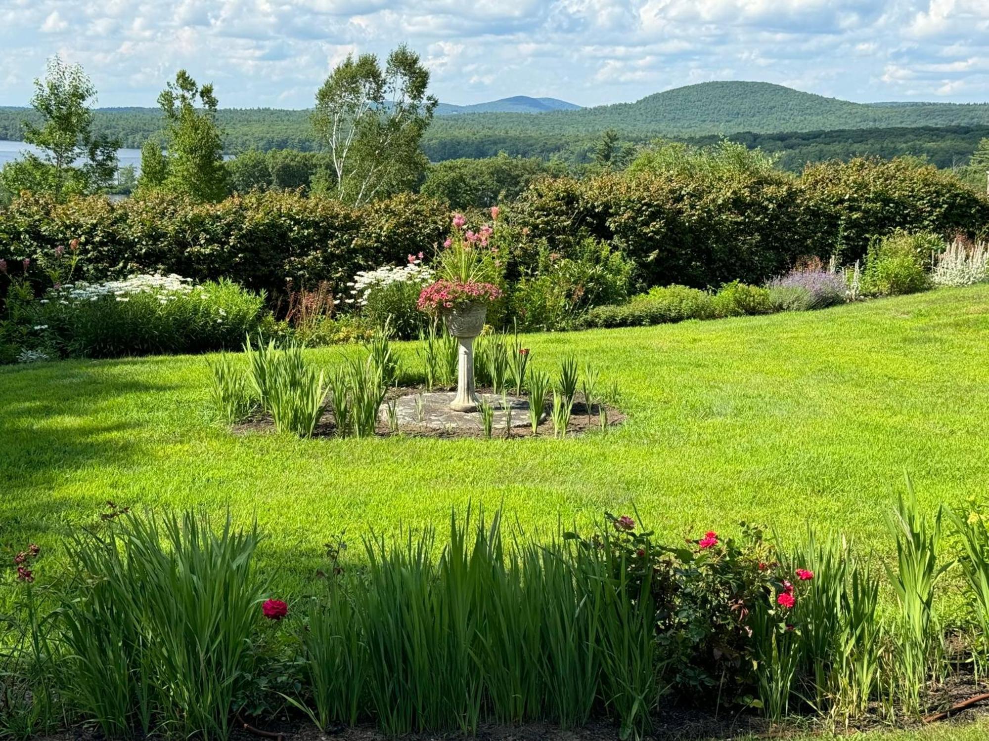 Maguire House Bed And Breakfast Ashburnham Eksteriør billede